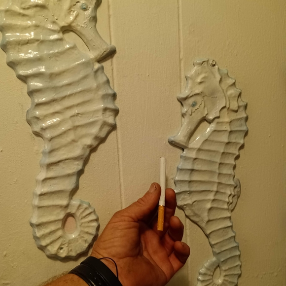 White Ceramic Seahorse Wall Decor - Picture 1 of 1